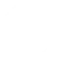 Citrus Burn free shipping van